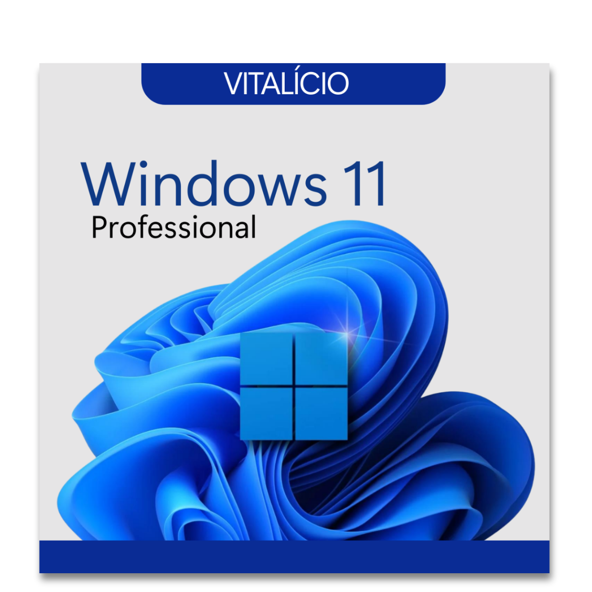 Microsoft Windows 11 Professional 